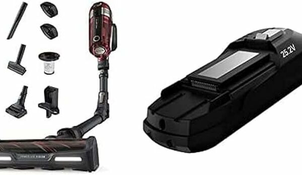 Rowenta XForce Flex 11.60 Aspirateur Balai sans Fil