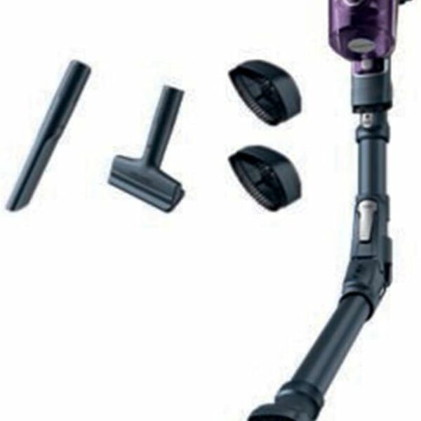 Rowenta X-Force Flex 8.60 Allergie Aspirateur balai sans fil